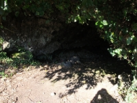 Grotta Comune